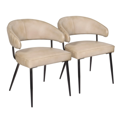Barbara Leather Dining Chair 2-Piece Set - Stone