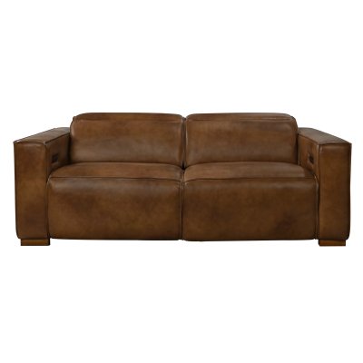 Lincolnshire Reclining Sofa - Tan with Spice Tan Legs