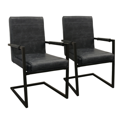 Lloyd Leather Arm Chair 2-Piece Set - Antique Black